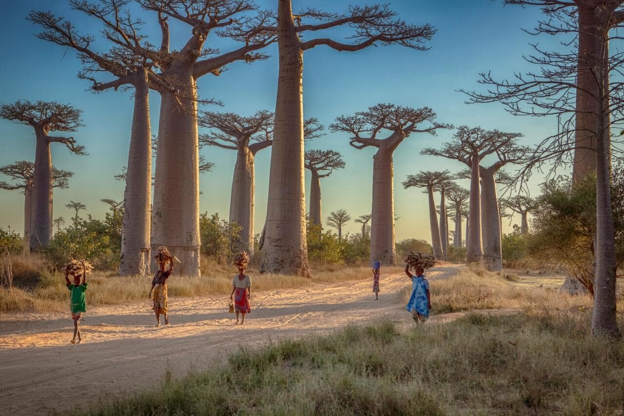 Cultura-Exclusive_Madagascar