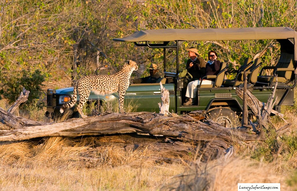 Luxury-Botswana-Safari-Camps-05